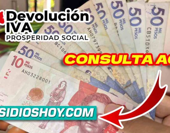 SUBSIDIO AYUDA ECONOMICA subsidioshoy.com wintor abc 2024