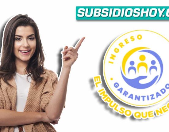 ingreso minimo garantizado