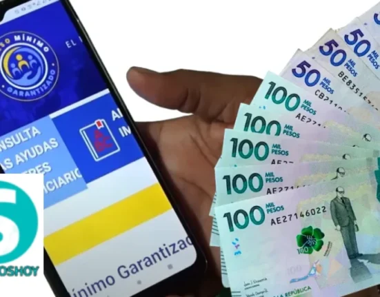 consulta pagos del ingreso mínimo garantizado