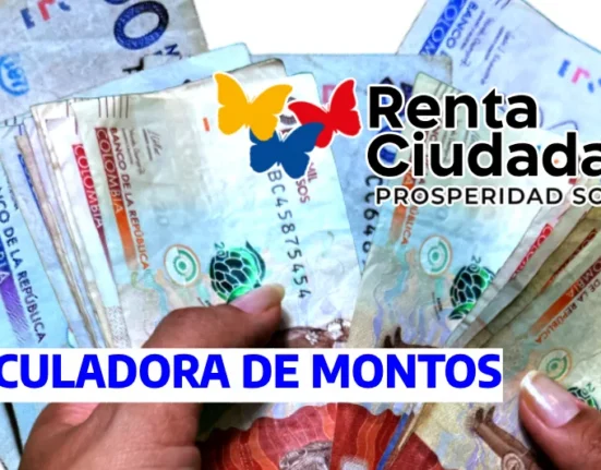 Calculadora de montos Renta Ciudadana 2024