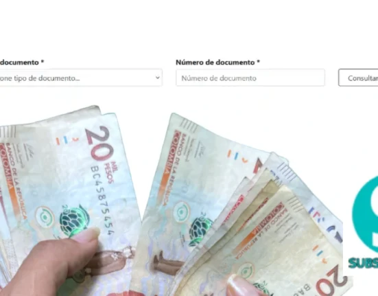 Quiénes son los Beneficiarios del Ingreso Mínimo Garantizado en Enero 2025