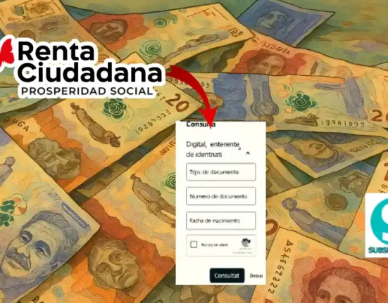 Renta Ciudadana ciclos en 2025