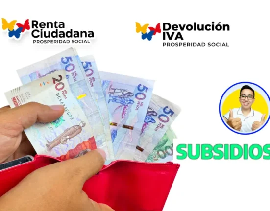 Cronograma de entrega